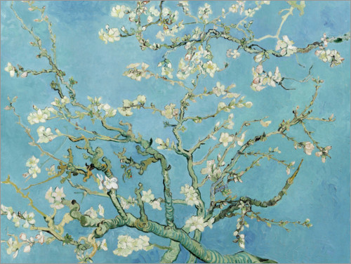 Poster Almond blossom