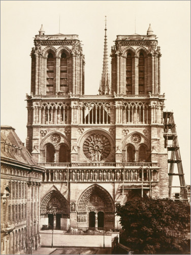 Poster Notre Dame