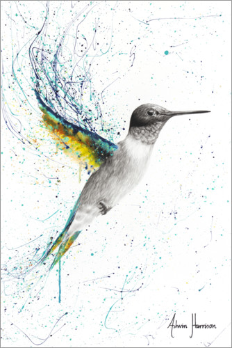 Poster Finding Home Hummingbird