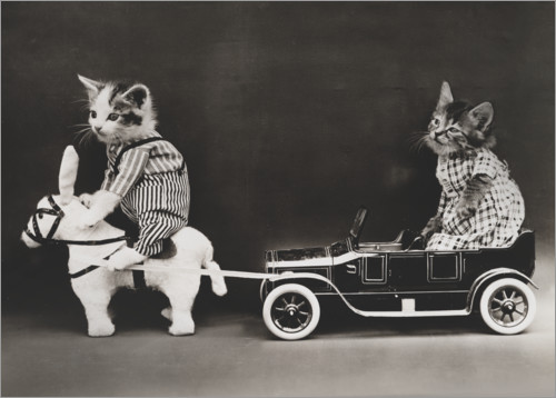 Poster Kitten carriage, vintage