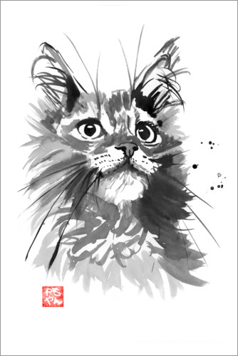 Poster Hairy cat