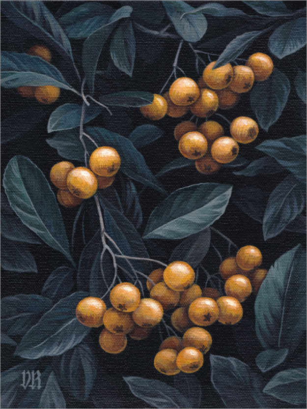 Poster Firethorn berries