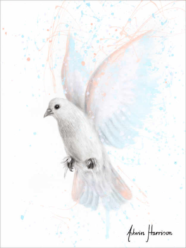 Poster Peace Dove