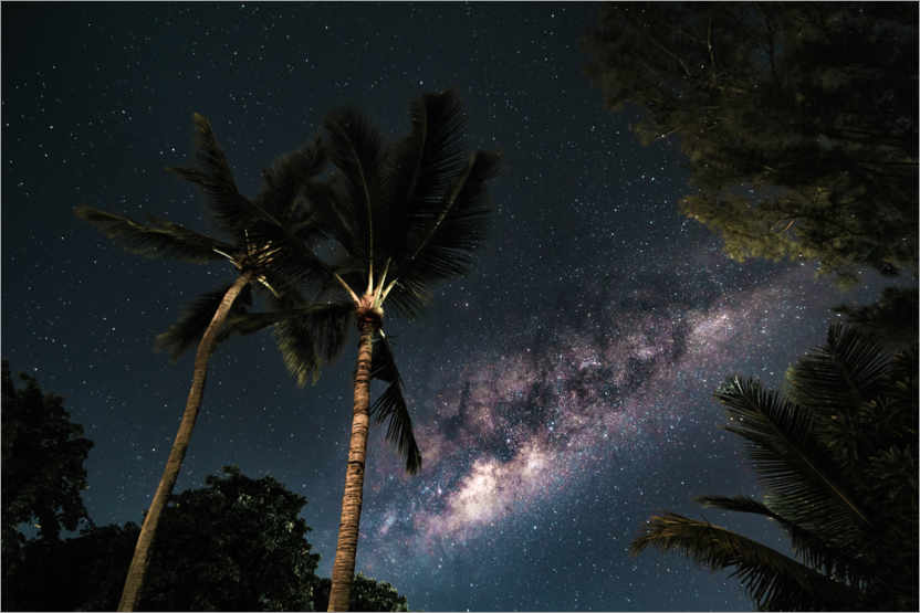 Poster Palm trees against a starry sky and the Milky Way