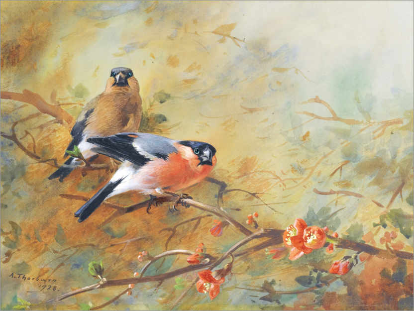 Poster Bullfinch and Japanese lavender heather