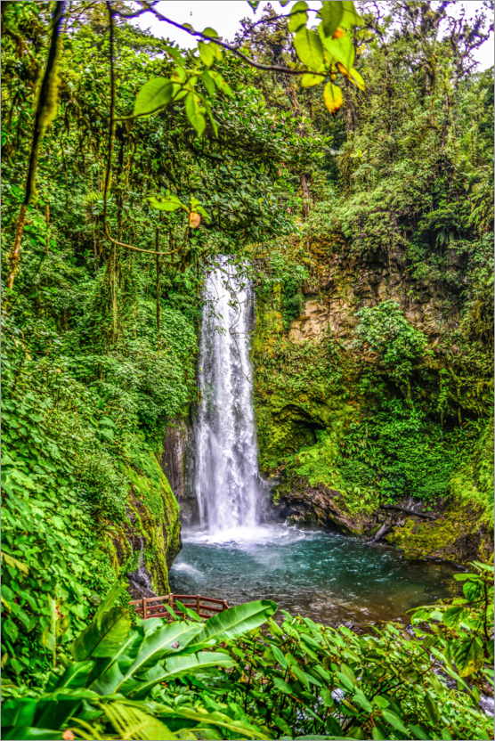 Poster Wasserfall in Costa Rica
