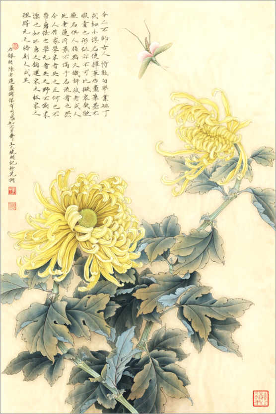 Poster Chrysanthemum
