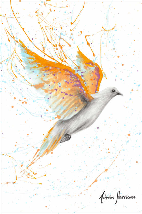 Poster Summer dove of peace