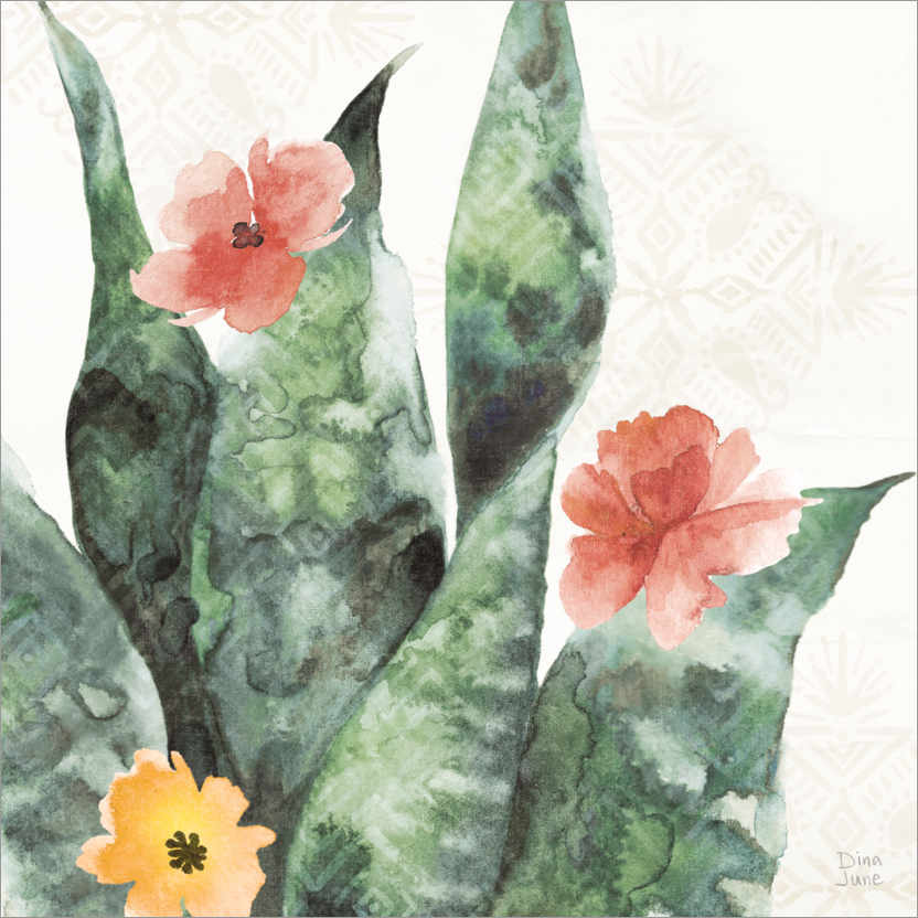 Poster Flowering cacti II