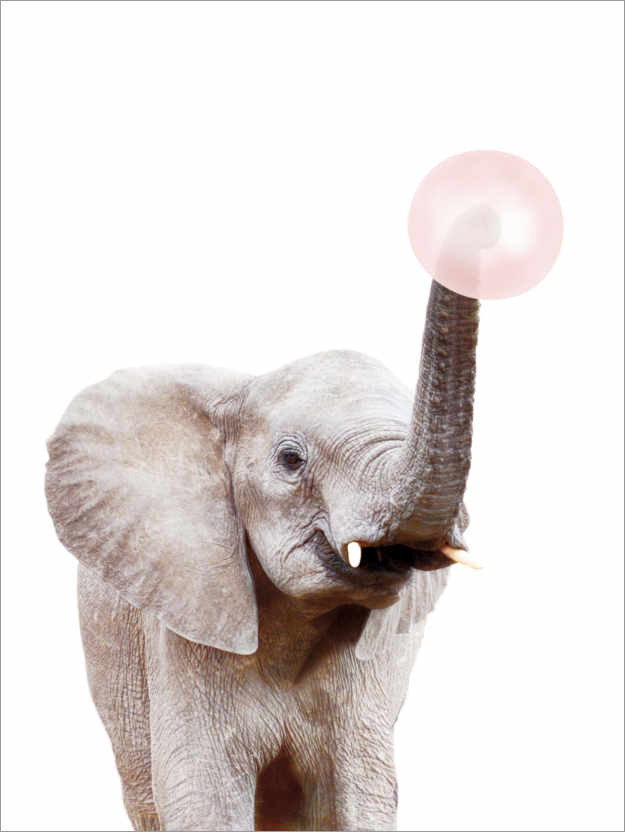 Poster Elephant with Bubble gum