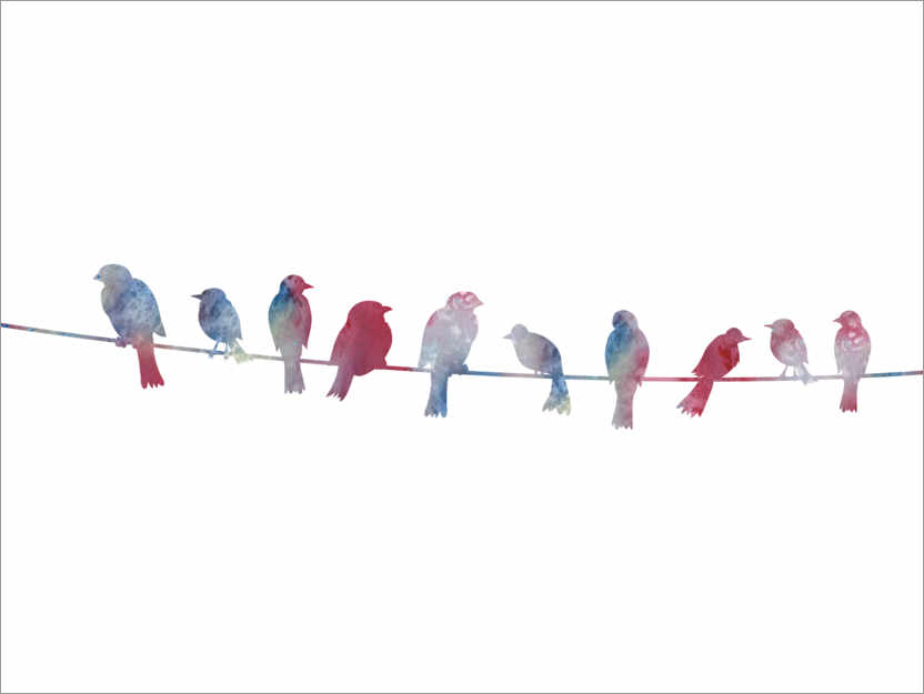 Poster Birds on wire
