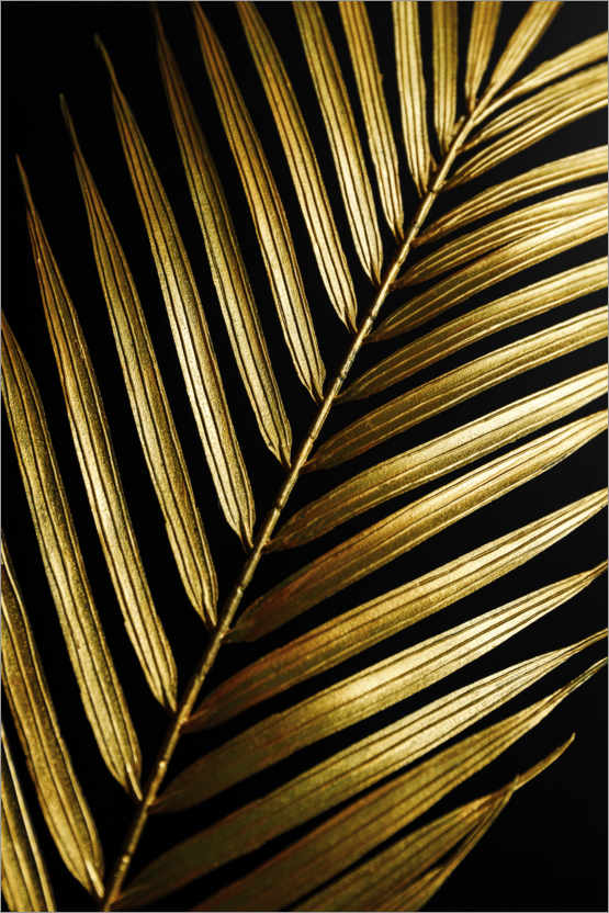 Poster Golden palm leaf