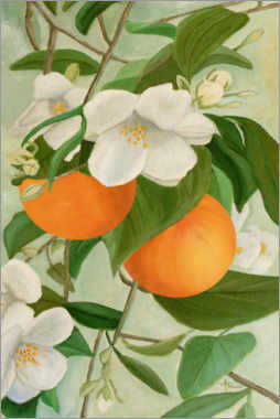 Wood print  Branch of the orange tree - Ángeles M. Pomata