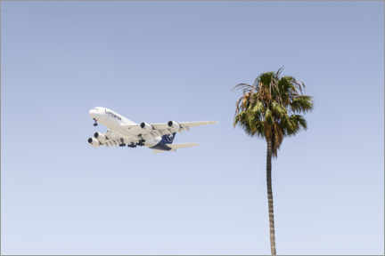 Poster Airbus A380 over palm trees