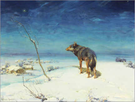 Acrylic print  The lonely wolf - Alfred von Wierusz-Kowalski