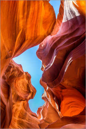 Wood print  Canyon with a blue sky - Mike Centioli