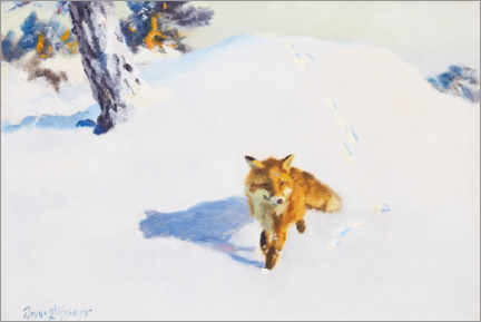 Poster  Fox in the winter landscape - Bruno Andreas Liljefors