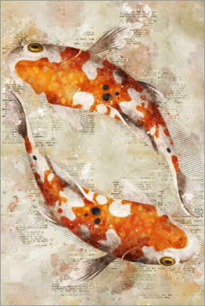 Canvas print  Koi Fishes - Durro Art