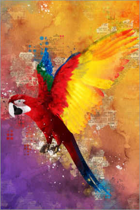 Gallery print  Parrot - Durro Art
