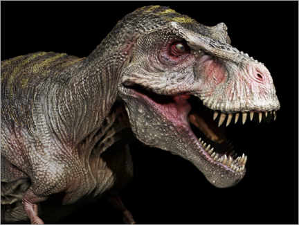 Poster Tyrannosaurus portrait
