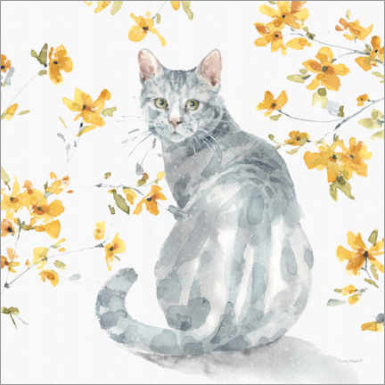 Poster Tabby tomcat with yellow flower branches