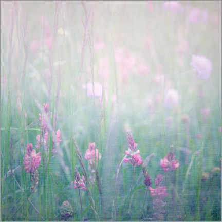 Gallery print  Flower meadow - Claudia Moeckel