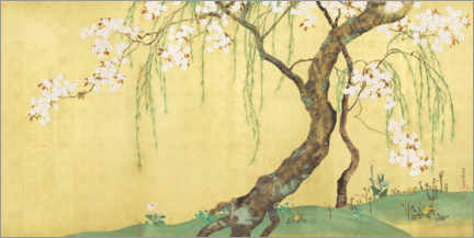 Poster  Cherry and Maple Trees - Sakai H?itsu