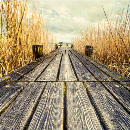 Poster Footbridge in the reeds