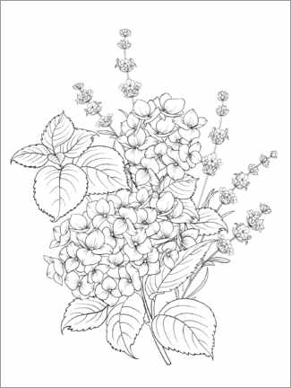 Colouring poster Hydrangea bouquet III