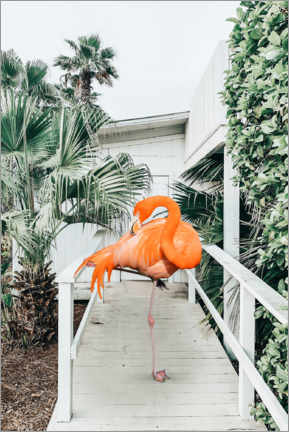 Poster Flamingo on the beach house