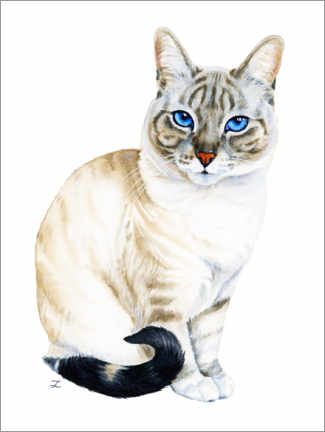 Poster Tiramisu, the Blue-Eyed Cat