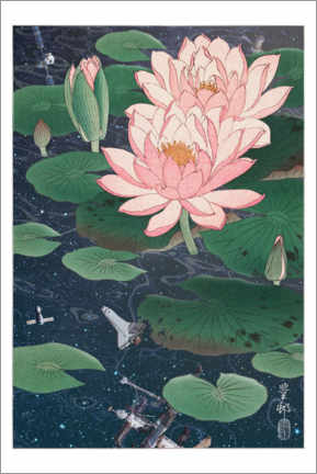 Poster Water lilies in space