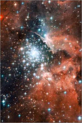 Canvas print  Nebula NGC 3603 - NASA