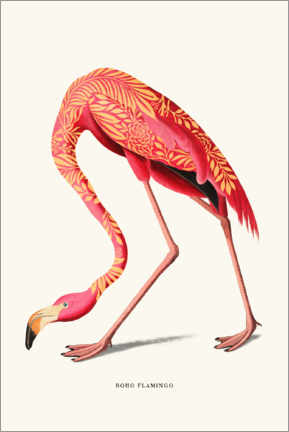Poster Boho flamingo