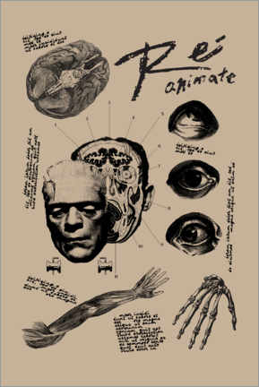Canvas print  Frankenstein - Reanimate
