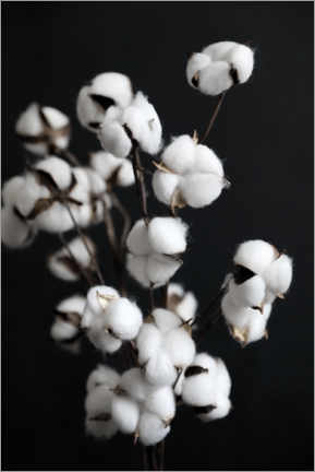 Wall sticker  Cotton candy floss - dried flowers - Studio Nahili