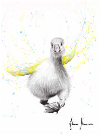 Poster  Ducky - Ashvin Harrison
