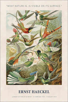 Canvas print  Ernst Haeckel - What nature is - Ernst Haeckel