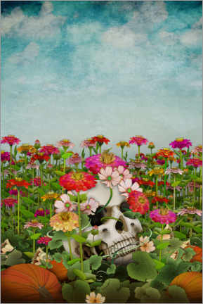 Acrylic print  Sugar skull - Brenda Erickson