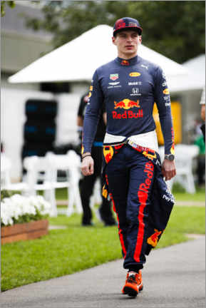 Canvas print  Max Verstappen, Red Bull Racing 2020
