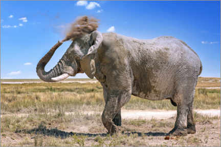 Poster  Elephant with dust cloud, Etosha, Namibia - wiw
