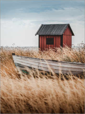 Poster Red cabin