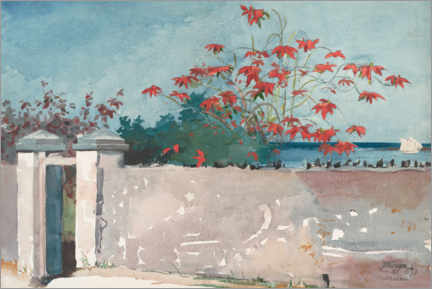 Acrylic print  A Wall, Nassau, 1898 - Winslow Homer