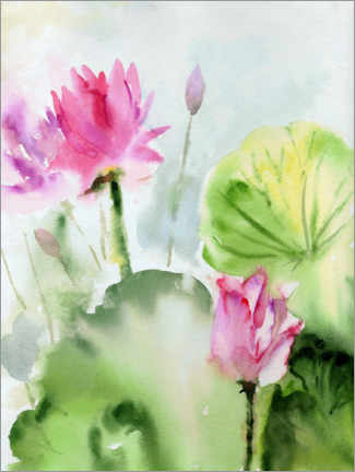Poster Lotus flowers