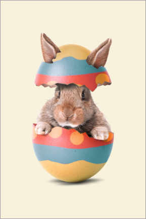 Poster  Easter Bunny - Jonas Loose