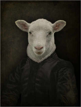 Aluminium print  Lord Chesterfield Sheep - Philippe Tyberghien
