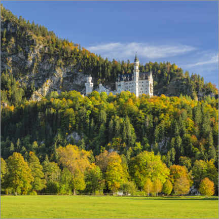 Poster  Neuschwanstein Castle in autumn - Markus Lange