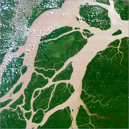 Aluminium print  Amazon Delta in Brazil - Planetobserver