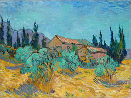 Poster  Wooden huts among olive trees and cypresses - Vincent van Gogh