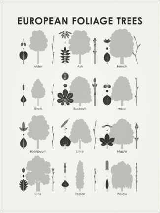 Poster  European foliage trees - Iris Luckhaus